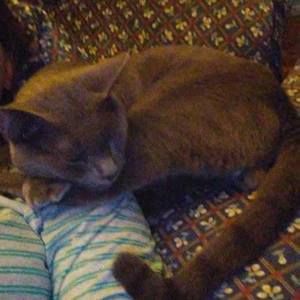 Meet your Posher, Ashley